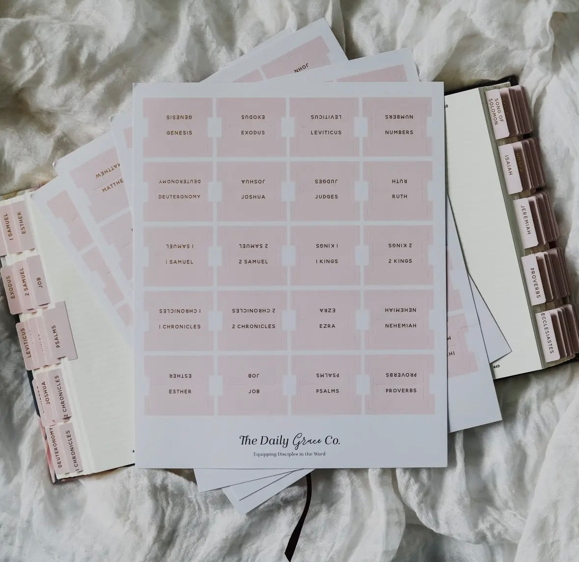 Blush Bible Tabs